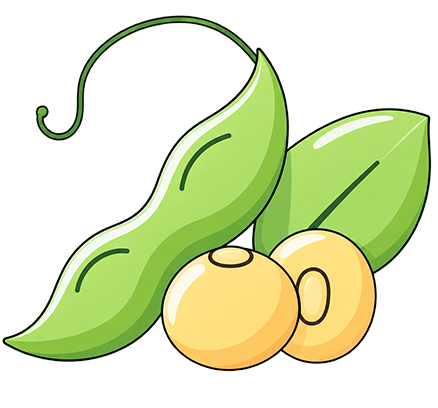 Beans